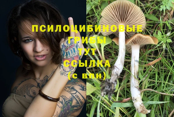 кокс Абинск